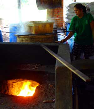 Cooking of palm suger