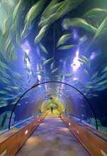 Pattaya aquarium