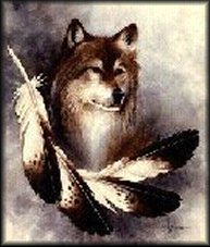 Wolf - Feather, unknown artist, image "taken" from SheoWolf         (14366 bytes)