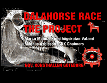  Dalahorse race
