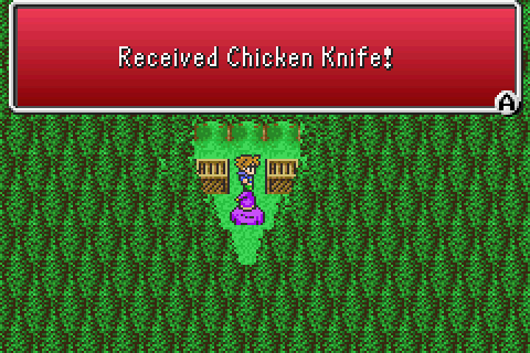 Poultry based murder
